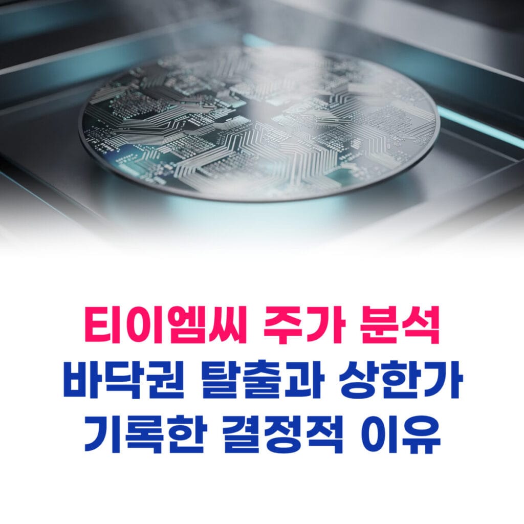 티이엠씨 주가 분석