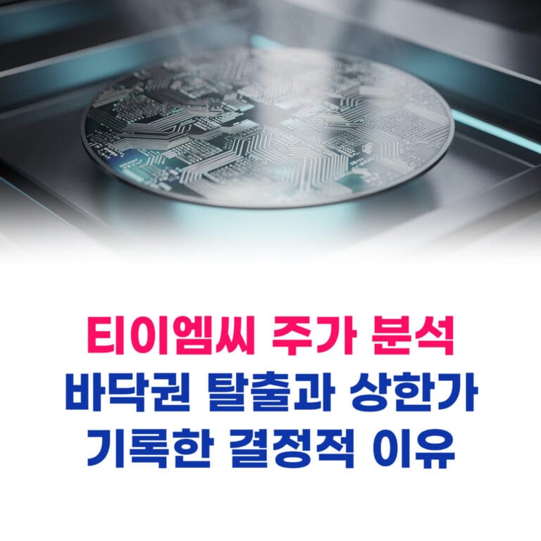 티이엠씨 주가 분석